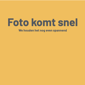 Onze Maikel - Scherm­afbeelding 2025 08 26 om 10.54.54