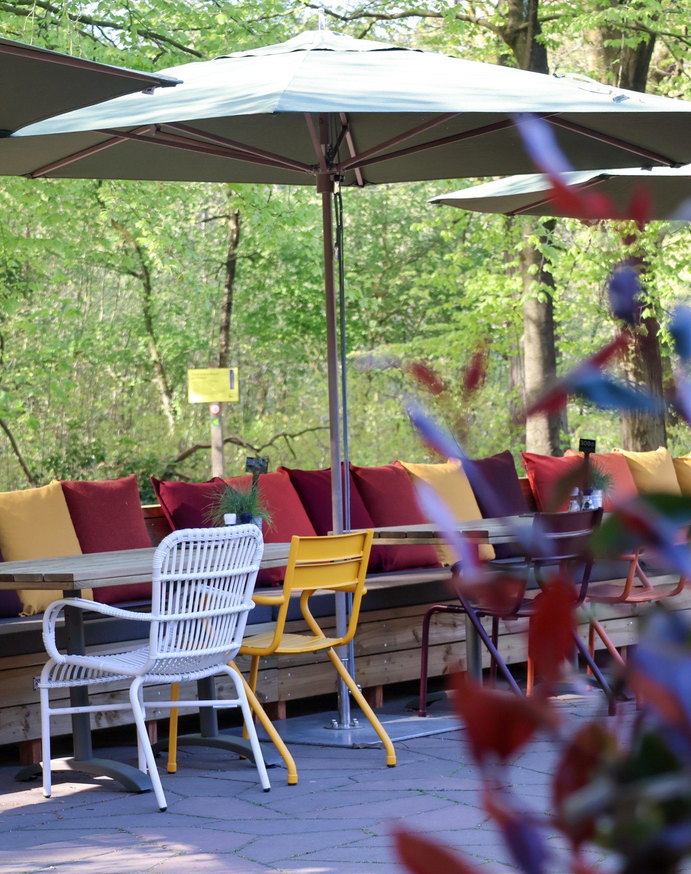 terras Groot Speijck